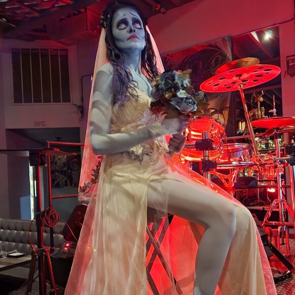 EMILY THE CORPSE BRIDE HALLOWEEN COSTUME DRESS! SIZE M-S - Picture 1 of 8